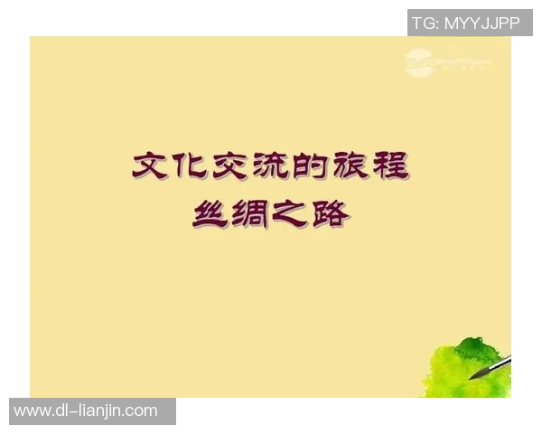 韩国与中国央视网的对比分析与文化交流探讨