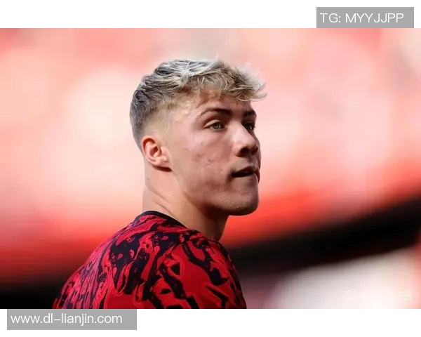 霍伊伦的传奇人生与时代变迁中的不屈精神探索 霍伊伦的传奇人生与时代变迁中的不屈精神探索